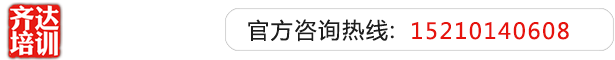 黄色小视频艹哭齐达艺考文化课-艺术生文化课,艺术类文化课,艺考生文化课logo